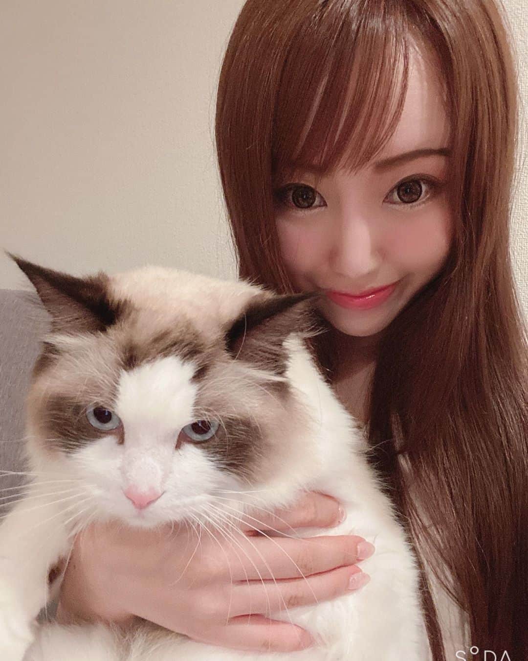 のインスタグラム：「らら🐈 . . . Twitter 凍結🧊により新しくなりました @aibareira2 で検索してね💓 . . . #自撮り　#グラドル　#モデル　#ラグドール　#Japanesegirl  #asianmodel #asiangirls #インスタグラビア #美容　#ヘアメイク　#美女図鑑 #水着美女　#粉我  #性感内衣 #カメラ部」