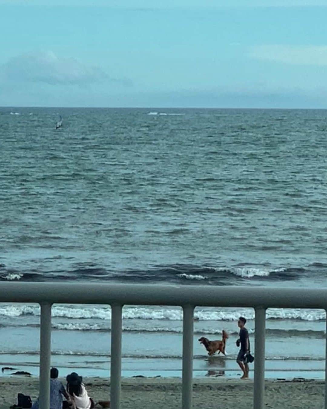 本田裕子さんのインスタグラム写真 - (本田裕子Instagram)「#夏の海 #海なう #海とワンコ #夕日と海 #海風 #潮風 #気持ちいい #愛娘まりん #娘と海 #マルチーズ大好き #犬なしでは生きていけません会 #ワンコのいる生活 #マルチーズ部 #白いワンコと白いワンピ #夏の日の思い出 #2020年夏 #海岸 #砂浜 #波 #まりんと海♡ #まりん散歩 #リハビリ #これから帰る #母ちゃん叫ぶ。笑 #本田裕子」8月10日 19時02分 - rinrin_yuko