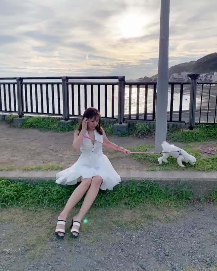 のインスタグラム：「#夏の海 #海なう #海とワンコ #夕日と海 #海風 #潮風 #気持ちいい #愛娘まりん #娘と海 #マルチーズ大好き #犬なしでは生きていけません会 #ワンコのいる生活 #マルチーズ部 #白いワンコと白いワンピ #夏の日の思い出 #2020年夏 #海岸 #砂浜 #波 #まりんと海♡ #まりん散歩 #リハビリ #これから帰る #母ちゃん叫ぶ。笑 #本田裕子」