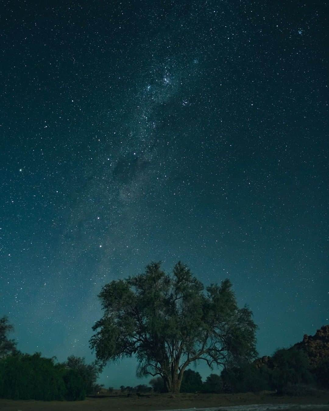 National Geographic Travelさんのインスタグラム写真 - (National Geographic TravelInstagram)「Photo by @joshuacogan  In Herero origin stories the Omumborombonga, or ironwood tree, is believed to be where the first people emerged from. Ndjambi Karunga (or Makuru) is the ancestral father, and Kamungarunga is the ancestral mother. They are figures of the spirit world known for their generosity.  The trees can reach up to a thousand years old and represent a union of heaven and earth in the mythological realms. The intertwining of the plant, spirit, and human worlds is something seen cross-culturally—expressions of our deep interdependence with the natural world known by indigenous peoples and coded into their stories.」8月10日 19時04分 - natgeotravel