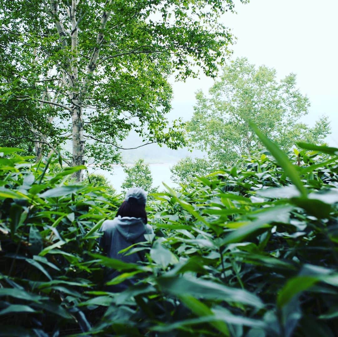 HiRAO INCさんのインスタグラム写真 - (HiRAO INCInstagram)「. 芙蓉湖」8月10日 19時15分 - kayokohirao
