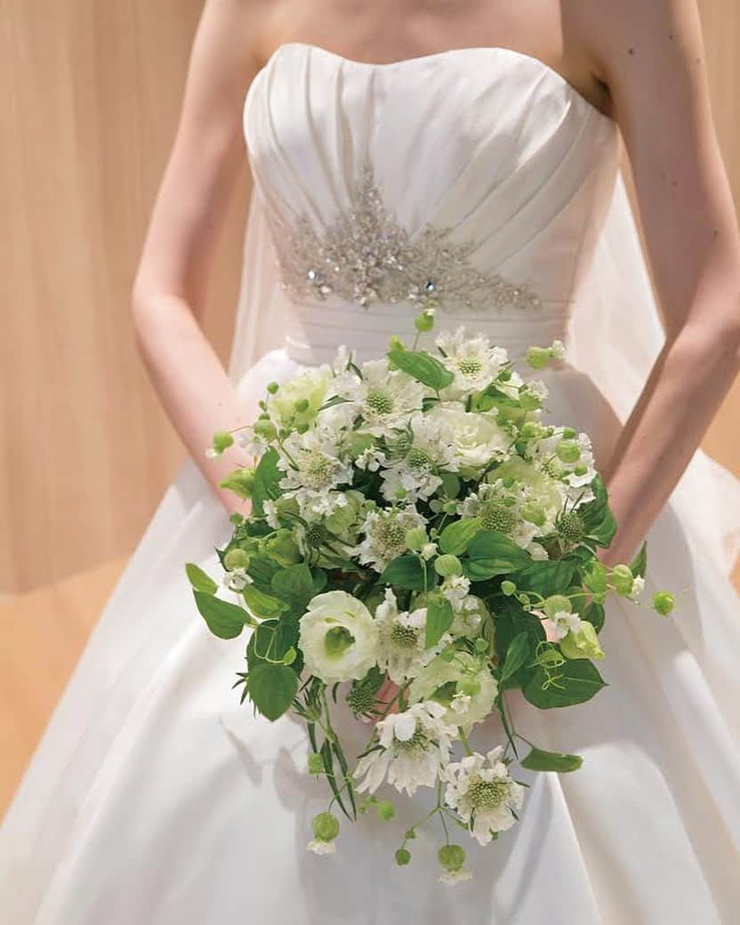 カノビアーノ福岡のグルメインスタ