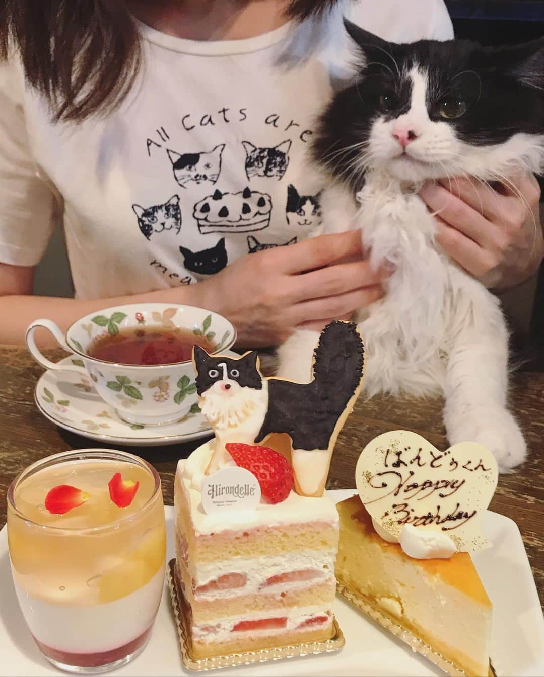 もじゃころさんのインスタグラム写真 - (もじゃころInstagram)「🐶2020年8月10日🐶←ばんどぅの日！！  今日は坂東玉隠しシャシャ丸1歳のお誕生日です🎂🎉㊗️👏  おめでとー😸👏👏👏👏👏  昨年の11月に保護したばんどぅ🥺 保護してなかったら1歳のお誕生日どころかきっと年も越せてなかったよばんどぅ🥺🥺🥺🥺🥺  ほんとにやんちゃで性格悪くてどうしようもないヤツだけどほんとにかわいいばんどぅ🥺🥺🥺🥺🥺 元気で長生きしてくれることを願ってます☺️✨✨✨  これからも坂東玉隠しシャシャ丸の成長を見守ってくださるとうれしいです☺️💕💕  アイシングクッキーも頑張ったので褒めてください😂割れたけどw  #坂東玉隠しシャシャ丸  #お誕生日おめでとう  #hbd  #アイシングクッキー  #イロンデル」8月10日 19時50分 - mojyacoro96