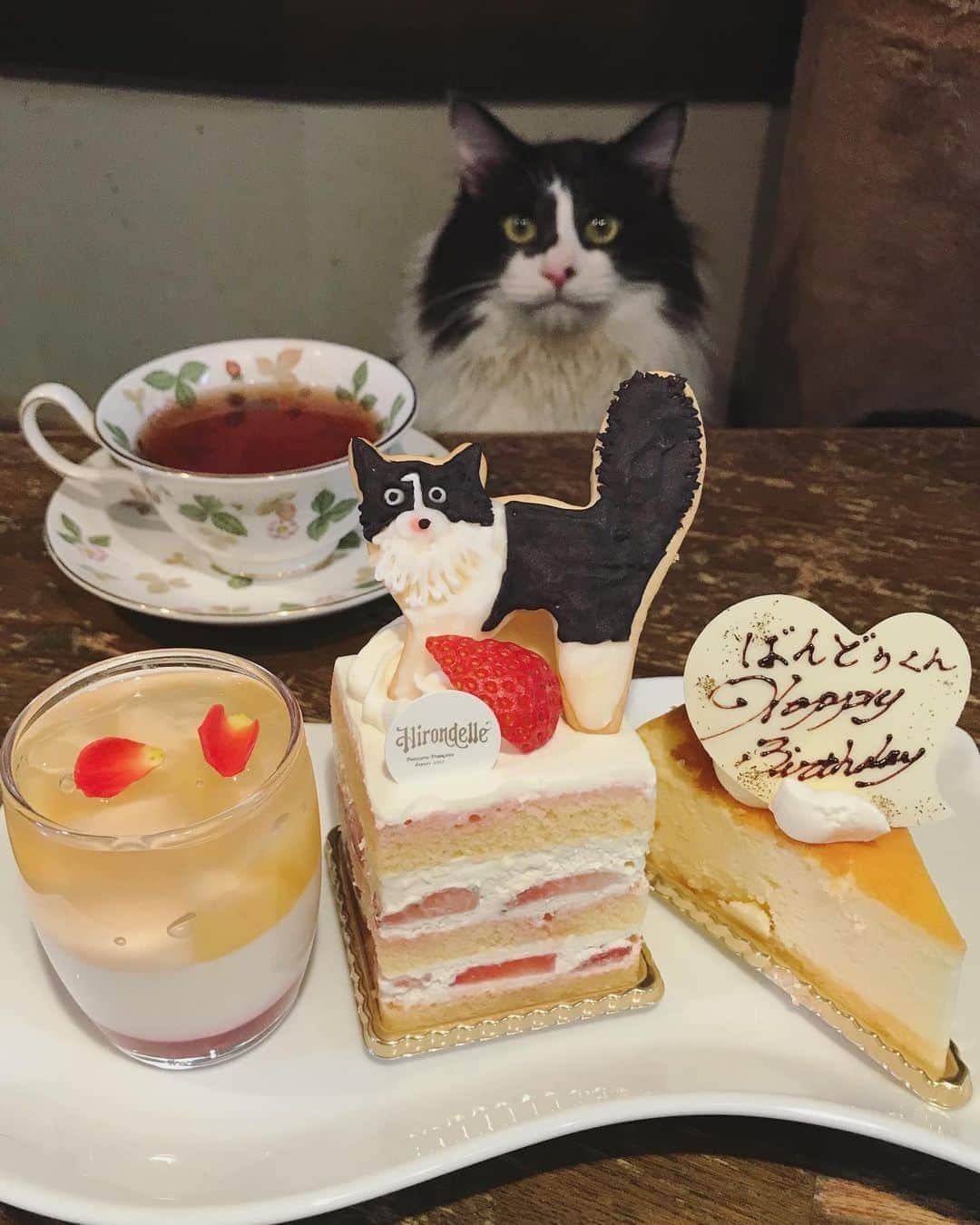 もじゃころさんのインスタグラム写真 - (もじゃころInstagram)「🐶2020年8月10日🐶←ばんどぅの日！！  今日は坂東玉隠しシャシャ丸1歳のお誕生日です🎂🎉㊗️👏  おめでとー😸👏👏👏👏👏  昨年の11月に保護したばんどぅ🥺 保護してなかったら1歳のお誕生日どころかきっと年も越せてなかったよばんどぅ🥺🥺🥺🥺🥺  ほんとにやんちゃで性格悪くてどうしようもないヤツだけどほんとにかわいいばんどぅ🥺🥺🥺🥺🥺 元気で長生きしてくれることを願ってます☺️✨✨✨  これからも坂東玉隠しシャシャ丸の成長を見守ってくださるとうれしいです☺️💕💕  アイシングクッキーも頑張ったので褒めてください😂割れたけどw  #坂東玉隠しシャシャ丸  #お誕生日おめでとう  #hbd  #アイシングクッキー  #イロンデル」8月10日 19時50分 - mojyacoro96