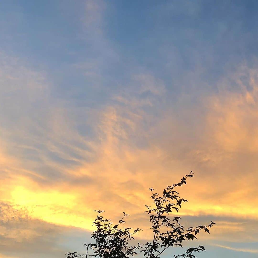 中川勝就さんのインスタグラム写真 - (中川勝就Instagram)「空が綺麗やったで🌅」8月10日 19時50分 - kacknn