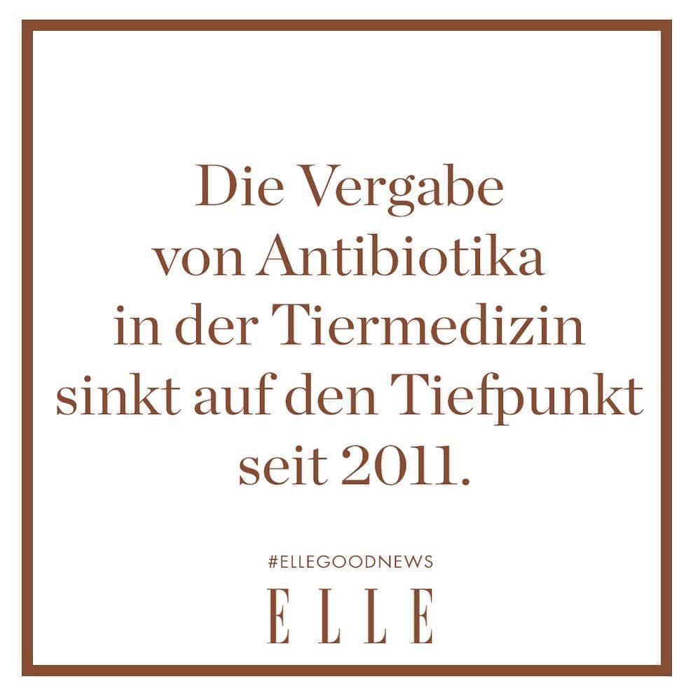 ELLE Germanyのインスタグラム