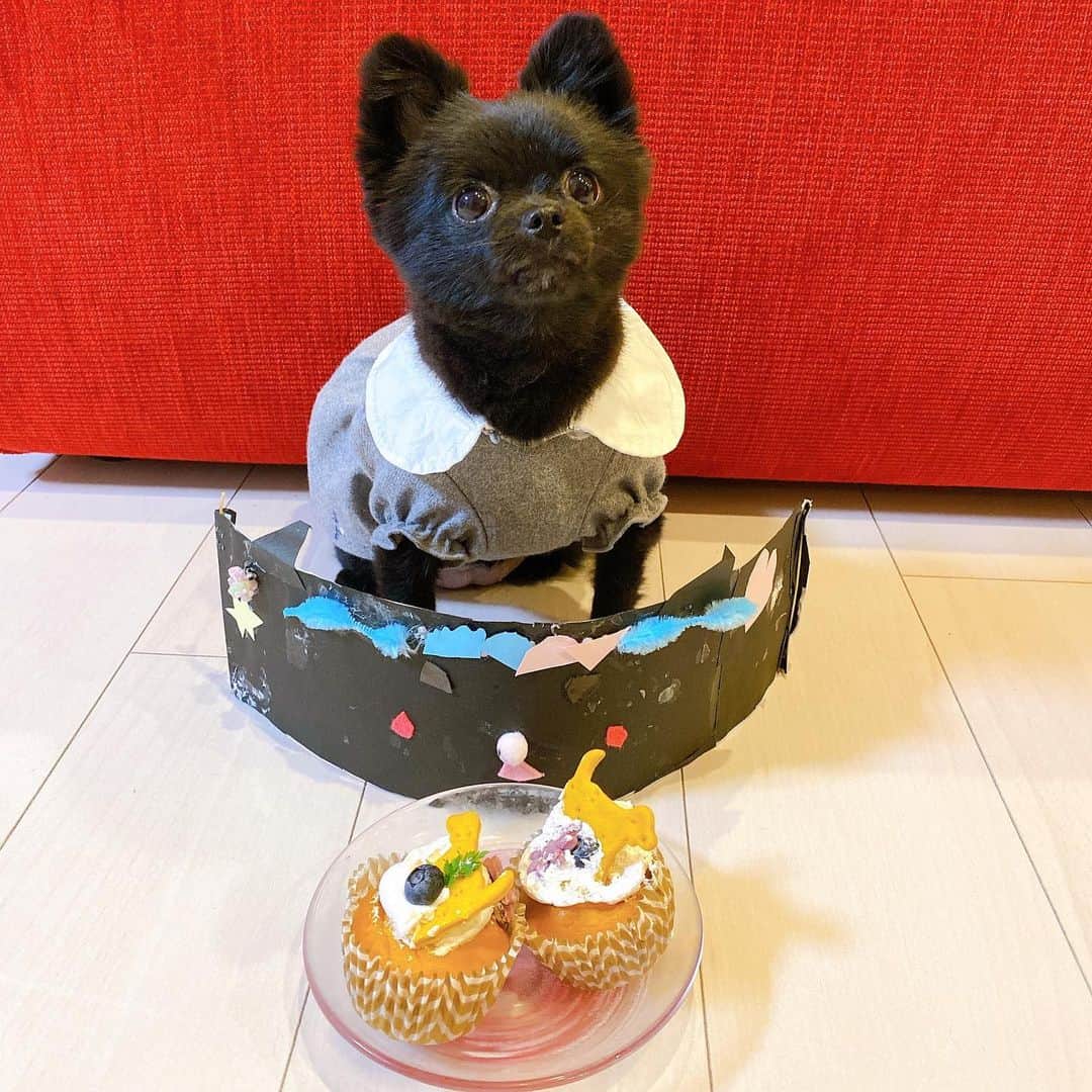 中田翔さんのインスタグラム写真 - (中田翔Instagram)「どんどん健康に大きくなりますように！！ それだけ祈ってます！！犬のチョコも1歳になりました！！ #中田翔ジュニア#1歳！」8月10日 20時12分 - shonakata_official