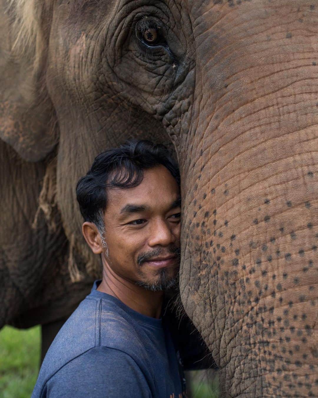 National Geographic Creativeさんのインスタグラム写真 - (National Geographic CreativeInstagram)「Photo by @amandamustard - Hello everyone! Over the next month I’ll be taking you along with me on assignment as I explore the many ways that Thailand’s captive elephant population and their mahout caretakers are being impacted by the global pandemic. Follow along and don’t hesitate to ask questions - I’ll be sharing some behind the scenes moments and insights along the way.   #thailand #natgeointhefield #asianelephants #welfare #tourism」8月10日 20時22分 - natgeointhefield