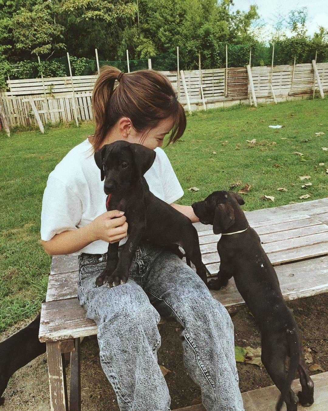 井上沙紀さんのインスタグラム写真 - (井上沙紀Instagram)「cuteeeee🥺🖤 #グレートデン  #dog」8月10日 20時26分 - inouesaki_1997