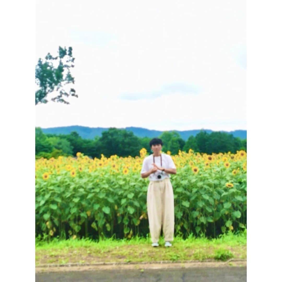 狩野真美さんのインスタグラム写真 - (狩野真美Instagram)「. 🌻💛🌻💚 . . "my favorite flower " パワーをもらえる花。 今年も見れてよかった。 また来年も見れますように。 まいかちゃんありがとう🥺 . . . #みちのく湖畔公園 #ひまわり #3枚目の写真　#どんなポーズ #ソーシャルディスタンス　#時差投稿」8月10日 20時55分 - mami____dayo