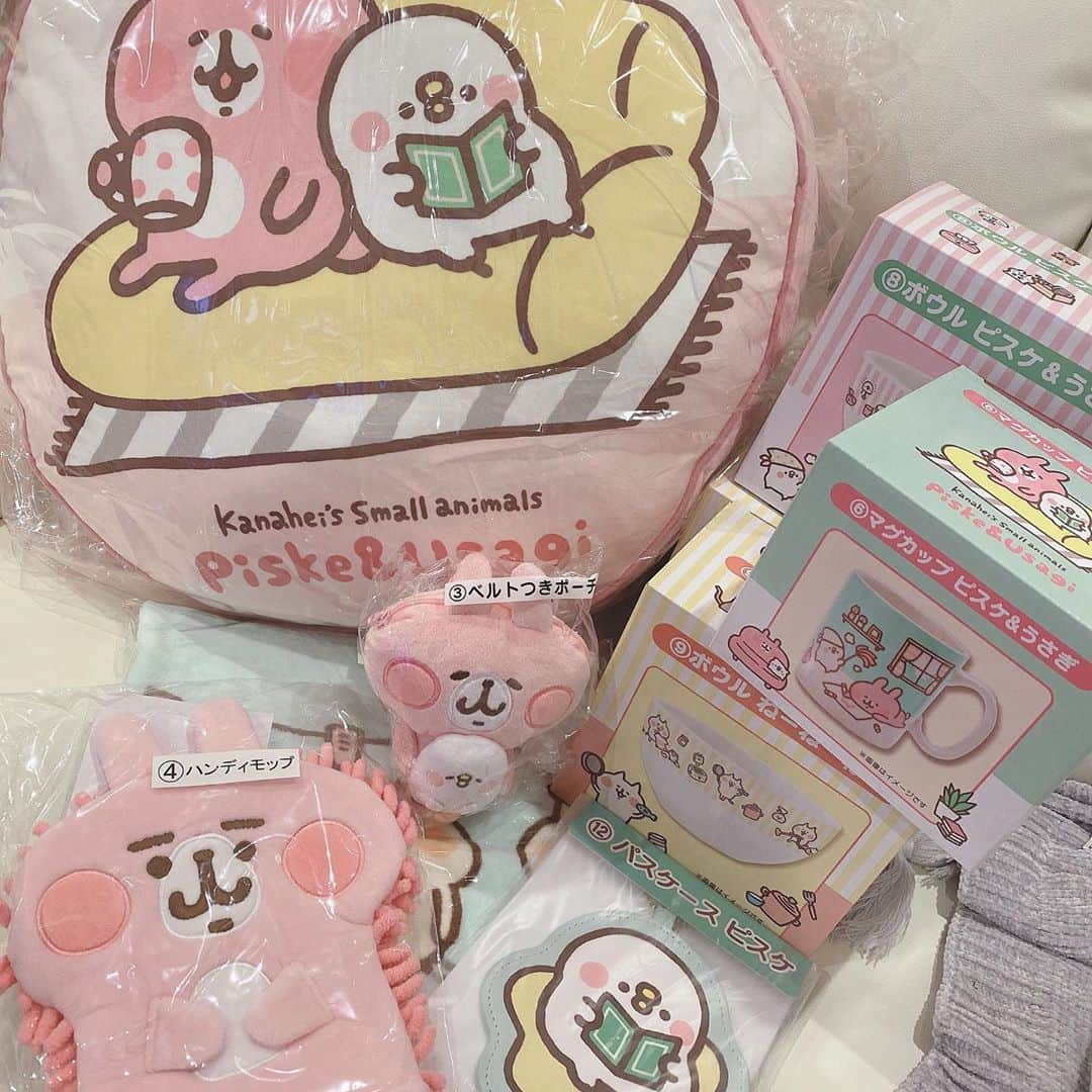 空野青空のインスタグラム：「課金しました✌️ カナヘイさんしゅきしゅき委員会✌️ ピスケが一生の推しです✌️ ラストワン賞もいたただき✌️ いえーいっ✌️  #カナヘイの小動物  #カナヘイコラボ  #カナヘイグッズ  #カナヘイくじ  #1番くじ  #ピスケ #ラストワン賞」