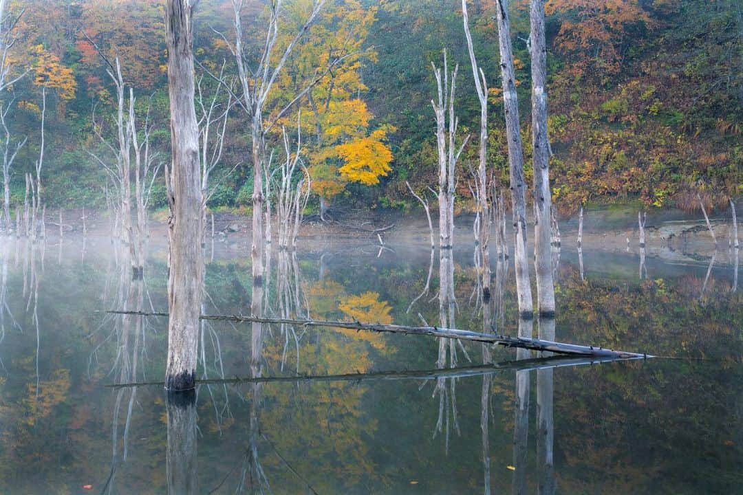 Hikaruのインスタグラム：「Surface of the water. Day in autumn. . .  #DiscoverwithAlpha #japan_lLC #A7RM3 #SEL1635Z  #北海道 #instagram #東京カメラ部 #tokyocameraclub #bealpha #sonyphotography #pashadelic #team_jp #bestjapanpics #natgeo #natgeoyourshot #naturephotography #ig_worldclub #1x #landscapephotomag #landscapelovers #lovers_nippon #visitjapanjp #bbctravel #art_of_japan #splendid_earth #日本の絶景 #ig_great_pics #BBCtravel #ig_worldclub」