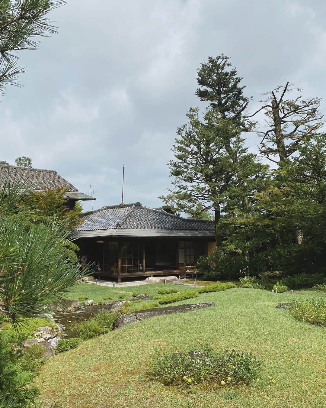 seikaさんのインスタグラム写真 - (seikaInstagram)「まだまだ知らないことだらけで、﻿ 海外旅行に行けない今をきっかけに﻿ 日本の歴史をもっと深掘りしたいなと🍵﻿ ここでは綺麗な庭園を眺めながらお抹茶をいただきました🎐」8月10日 22時12分 - seika_boo