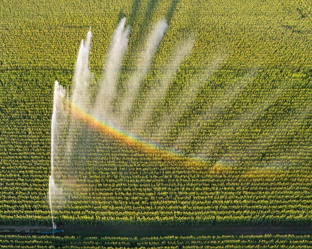 AFP通信さんのインスタグラム写真 - (AFP通信Instagram)「AFP Photo 📷 Sébastien Bozon - An aerial view shows a sprinkler system in a cornfield near Ensisheim, eastern France. August, 2020.」8月10日 22時27分 - afpphoto