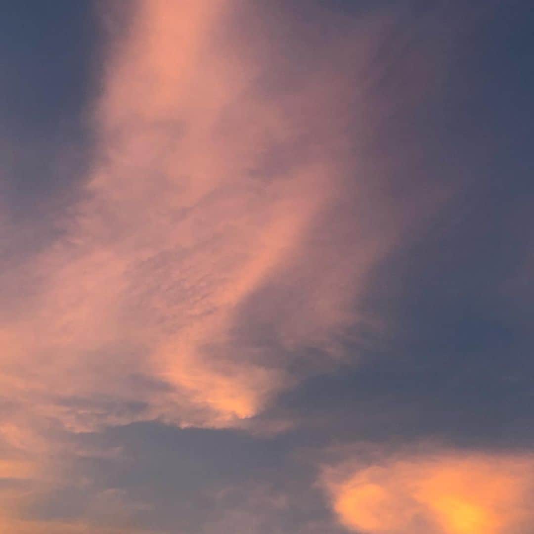 大西沙紀さんのインスタグラム写真 - (大西沙紀Instagram)「#夕焼け #マジックアワー #加工なしの空   久しぶりに本当に綺麗だと思ったもの。見れて本当にハッピーな気持ちに🐶」8月10日 22時35分 - sakionishi