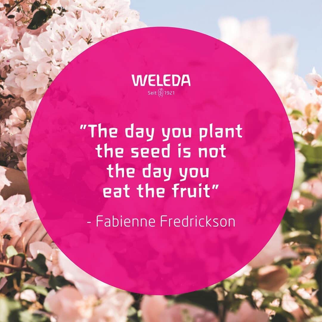 Weledaのインスタグラム：「Give yourself time to bloom! 🌸 #Quoteoftheday」