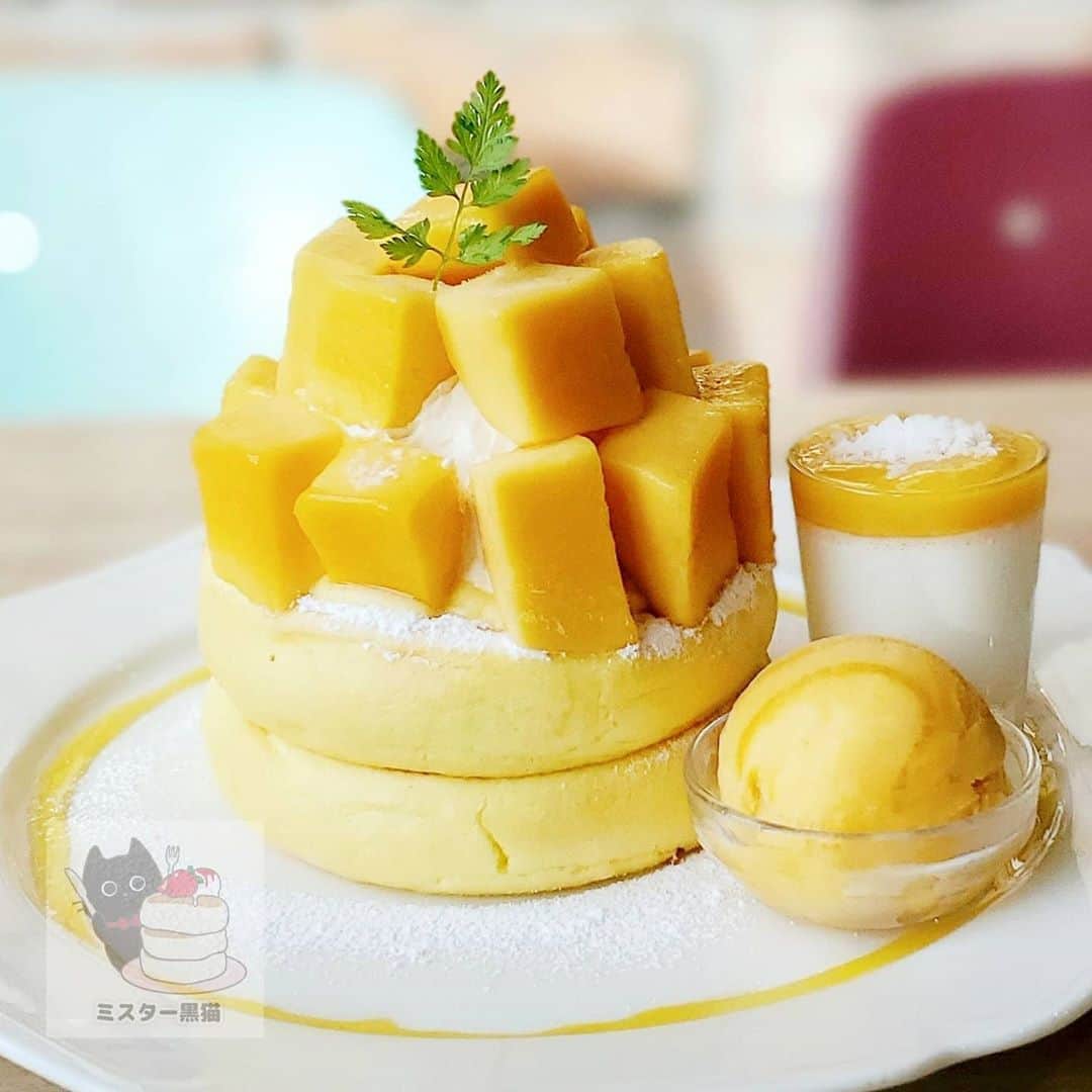 ミスター黒猫（黒猫仙人）のグルメインスタ