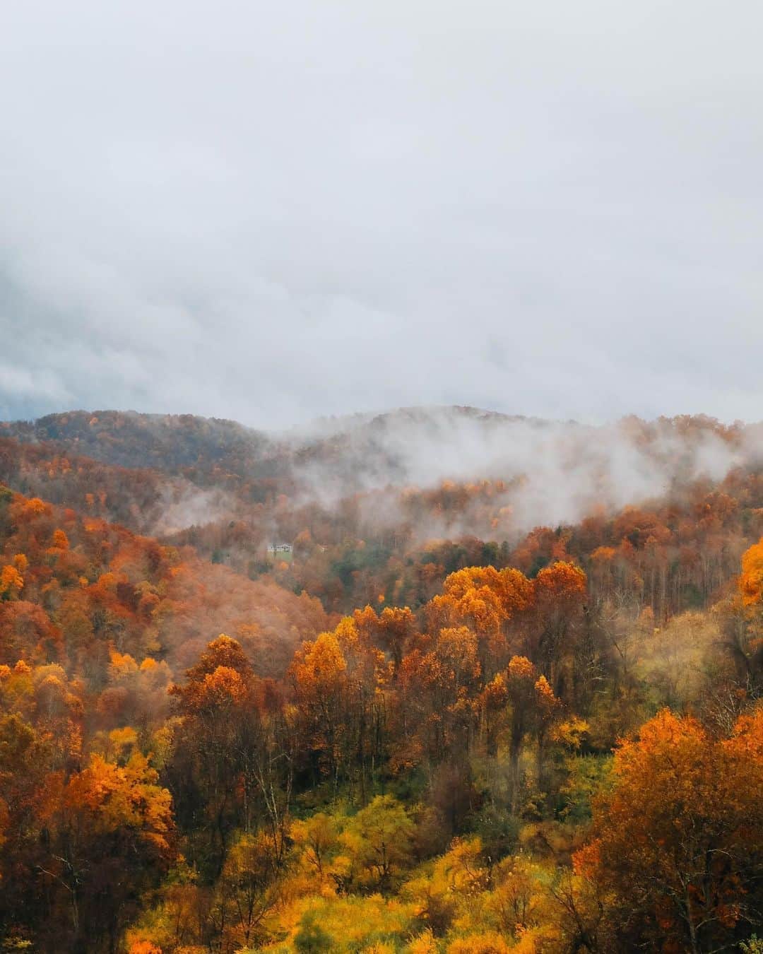 FOLKのインスタグラム：「Would you like to submit an autumn series of images, an essay, or a story for the autumn issue of @folkmagazine? Perhaps you’d even like to submit an image to be used as the cover?! DM us TODAY! Sadly we are only accepting submissions this issue.」