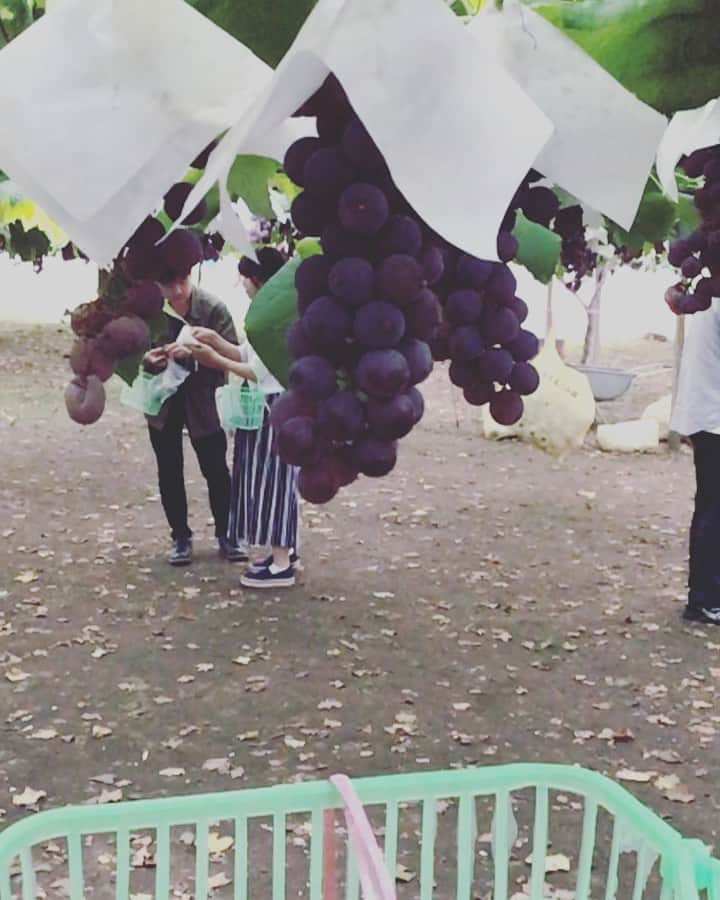 越中睦士のインスタグラム