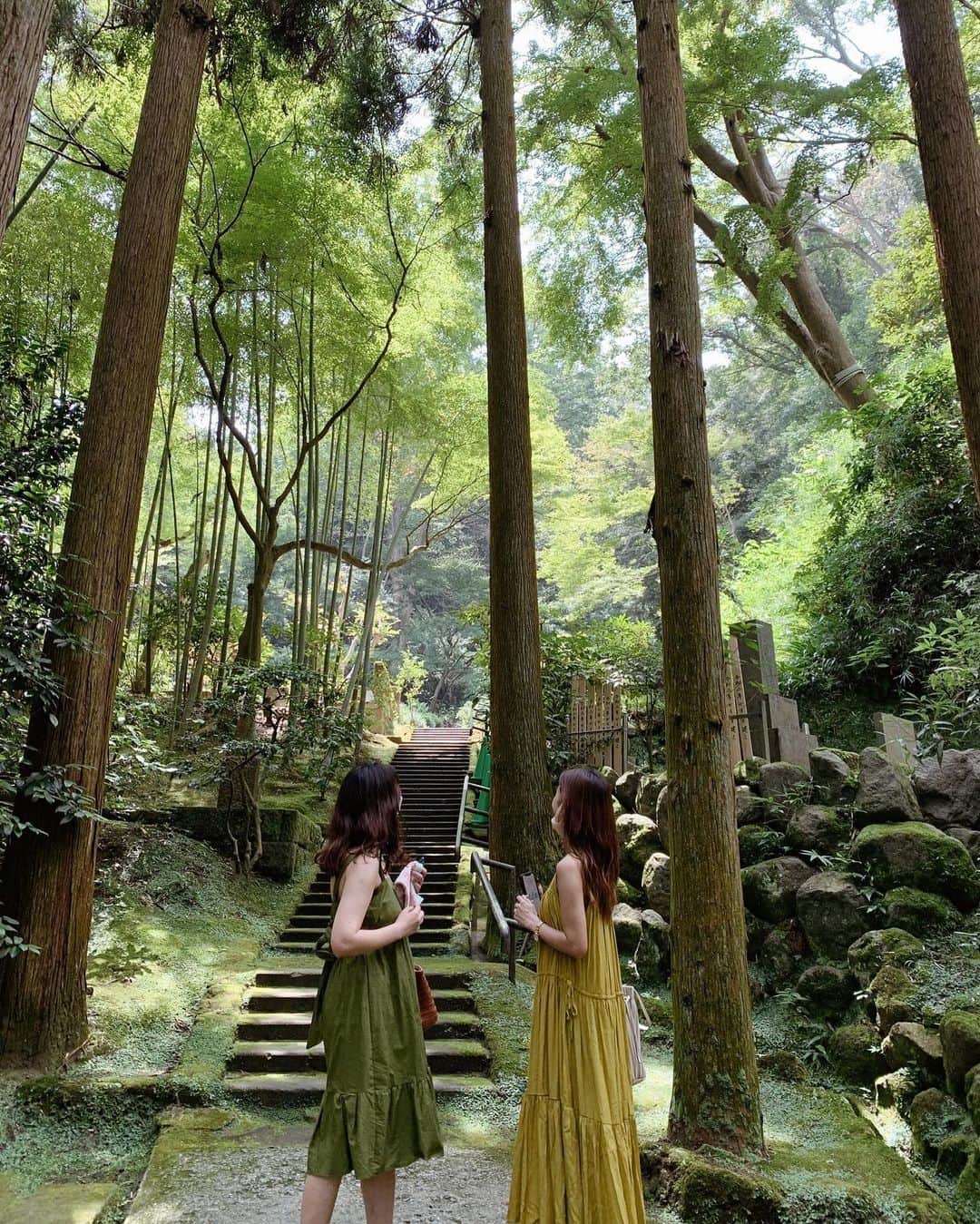 のインスタグラム：「.﻿ ﻿ 東慶寺。﻿ ﻿ 緑が綺麗なお寺だったなぁ。﻿ コケも綺麗で。﻿ ﻿ ジブリっぽい。﻿ ﻿ ﻿ #東慶寺 #鎌倉 #北鎌倉 #鎌倉観光 #北鎌倉散策 #お寺 #鎌倉散歩 #縁切り寺」