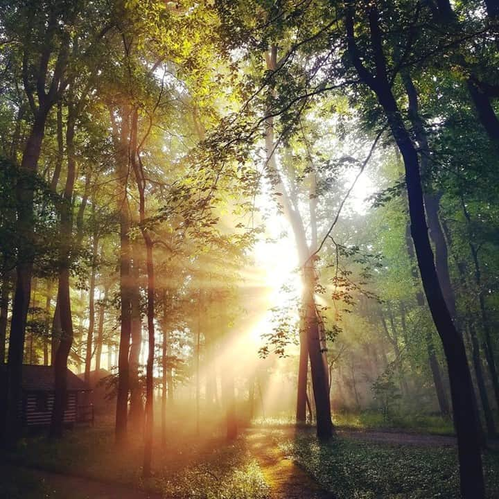 アメリカ内務省さんのインスタグラム写真 - (アメリカ内務省Instagram)「Catoctin Mountain Park in #Maryland was first established as a Recreational Demonstration Area to help thousands of acres of forests and hills recover from the effects of logging and farming. In those second-growth #forests, #trails and #cabins were built so people could visit and enjoy the cool air and wonderful views. Some camps were used for disabled children and the Salvation Army. During World War II, the Marines used Camp Misty Mount as a training facility. One camp was converted for use as a peaceful retreat for President Franklin D. Roosevelt. Other presidents kept up that tradition with President Dwight Eisenhower renaming the presidential vacation spot after his grandson: Camp David. Photo of Camp Misty Mount at Catoctin Mountain Park by Thomas Zygmunt, National Park Service. #UsInterior #RecreateResponsibly #FindYourPark」8月11日 0時25分 - usinterior