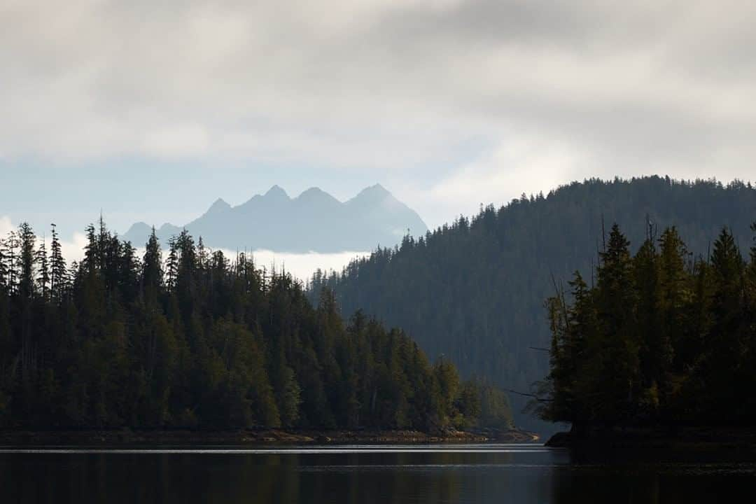 National Geographic Travelさんのインスタグラム写真 - (National Geographic TravelInstagram)「Photo by Matt Borowick @mborowick  Boating down Dawley Passage Provincial Park allows for some remarkable views. During the pandemic, I have been able to look back through my archive to find some real gems from the last few years of travel. Tofino in British Columbia, Canada, ranks very high on that list. With incredibly pristine nature and extreme wildlife, it's a perfect place to travel to when it's finally possible.  Follow @mborowick for more pictures like this. #tofino #wild #adventure #canada #britishcolumbia」8月11日 1時06分 - natgeotravel