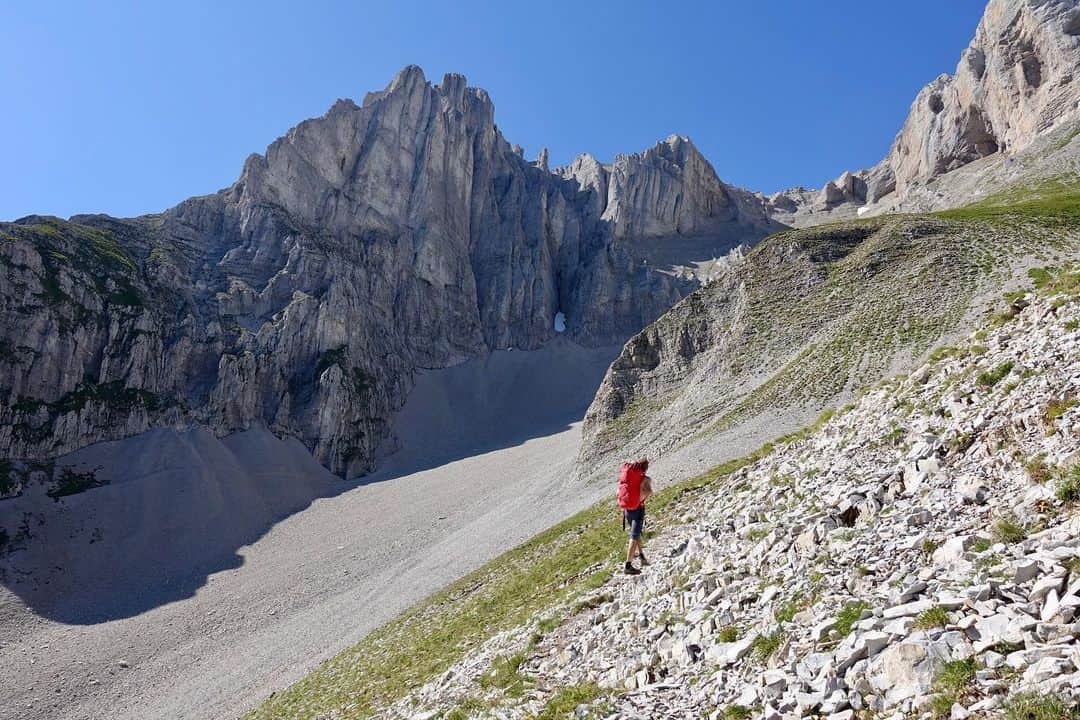 ニナ・カプレツさんのインスタグラム写真 - (ニナ・カプレツInstagram)「I few days ago I had an incredible guiding experience in the “Dévouly”, a region I’ve never climbed before. We climbed the route “Vendange tardive”, (300m/6a+) on the peak Obiou. What a beautiful day, in the middle of a very wild nature.  It’s a real perle and you can find tons of Génépi in the route!  Thanks Jean and Jeremy for that pretty fun day!  #lovenature #multipitch #genepi  @arcteryx @petzl_official @scarpaspa @julbo_eyewear」8月11日 1時36分 - ninacaprez