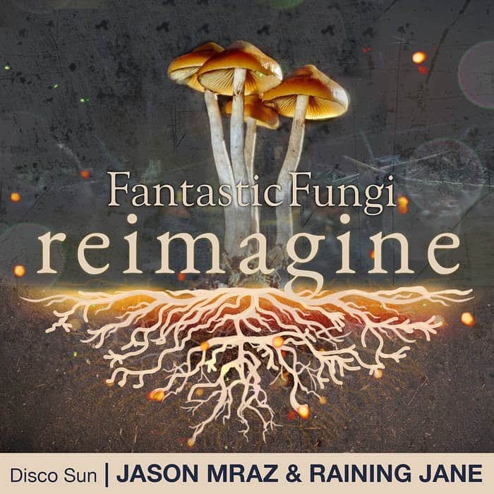 ジェイソン・ムラーズのインスタグラム：「“Disco Sun,” a new song with @raining_jane, is now streaming, serving Reimagine – an album of songs inspired by the @fantasticfungi film & the mycelial network! If you saw our show last fall, you will recognize this groovy demo. Learn more at fantasticfungi.com/reimagine-album」
