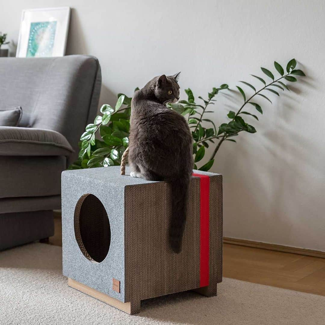 Design Milkさんのインスタグラム写真 - (Design MilkInstagram)「Tag a #catlover below! 🐈 Animal lover Katarzyna Galicka-Szer launched the @miooudesign brand of #catfurniture – scratching houses, tunnels, and posts – with her three #cats in mind. Knowing cats are going to scratch, Galicka-Szer decided to merge her architecture background with the needs of her cats and create a collection of handmade scratchers both you and your cat will love. \\\ designmilk[dot]com」8月11日 12時26分 - designmilk