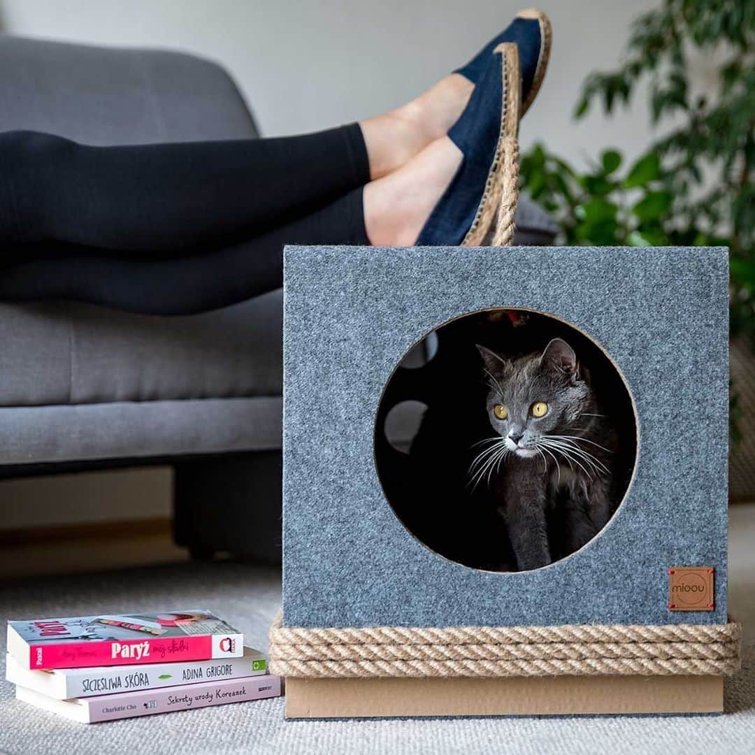 Design Milkさんのインスタグラム写真 - (Design MilkInstagram)「Tag a #catlover below! 🐈 Animal lover Katarzyna Galicka-Szer launched the @miooudesign brand of #catfurniture – scratching houses, tunnels, and posts – with her three #cats in mind. Knowing cats are going to scratch, Galicka-Szer decided to merge her architecture background with the needs of her cats and create a collection of handmade scratchers both you and your cat will love. \\\ designmilk[dot]com」8月11日 12時26分 - designmilk