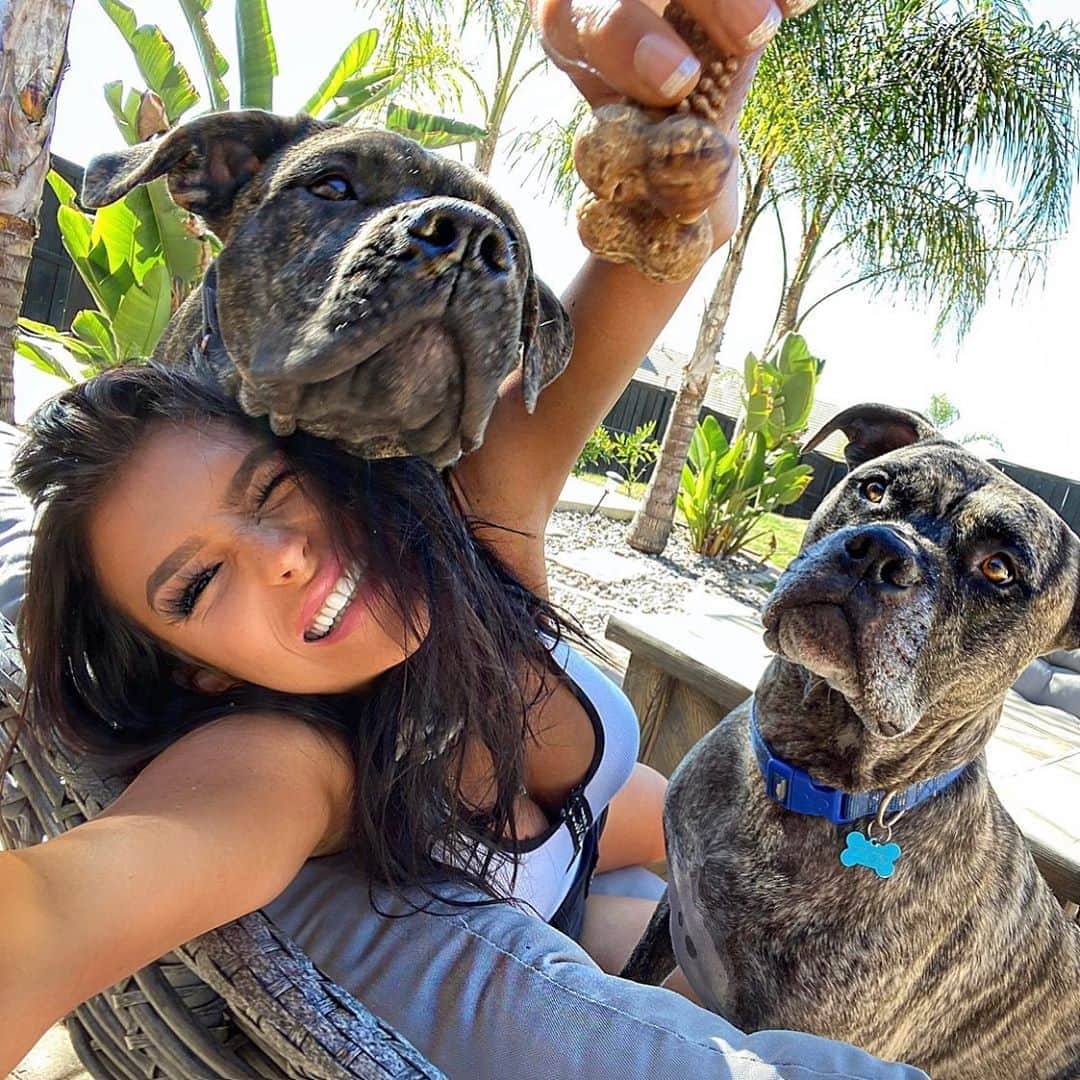 Kelly Clelandさんのインスタグラム写真 - (Kelly ClelandInstagram)「So, I had this idea to go in the backyard and take a nice family photo ... ➡️ #idea #family #photo #fail #itried #brindle #boys #rowdy #love #laugh #live  Maybe tomorrow!!! ✔️」8月11日 11時26分 - kellyacleland4