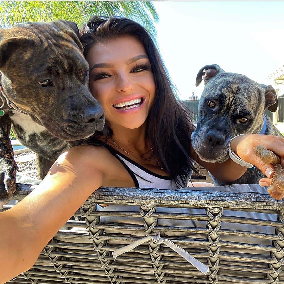 Kelly Clelandさんのインスタグラム写真 - (Kelly ClelandInstagram)「So, I had this idea to go in the backyard and take a nice family photo ... ➡️ #idea #family #photo #fail #itried #brindle #boys #rowdy #love #laugh #live  Maybe tomorrow!!! ✔️」8月11日 11時26分 - kellyacleland4