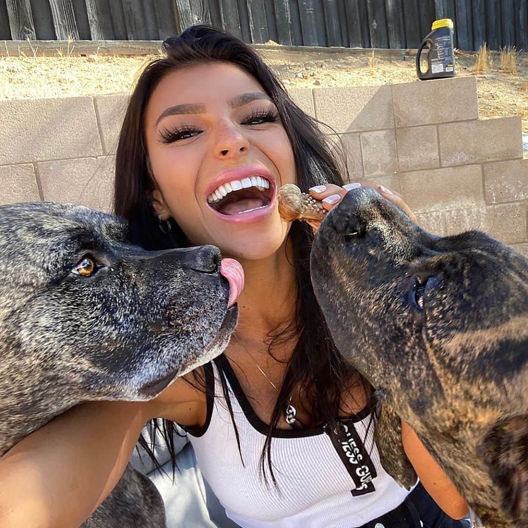Kelly Clelandさんのインスタグラム写真 - (Kelly ClelandInstagram)「So, I had this idea to go in the backyard and take a nice family photo ... ➡️ #idea #family #photo #fail #itried #brindle #boys #rowdy #love #laugh #live  Maybe tomorrow!!! ✔️」8月11日 11時26分 - kellyacleland4