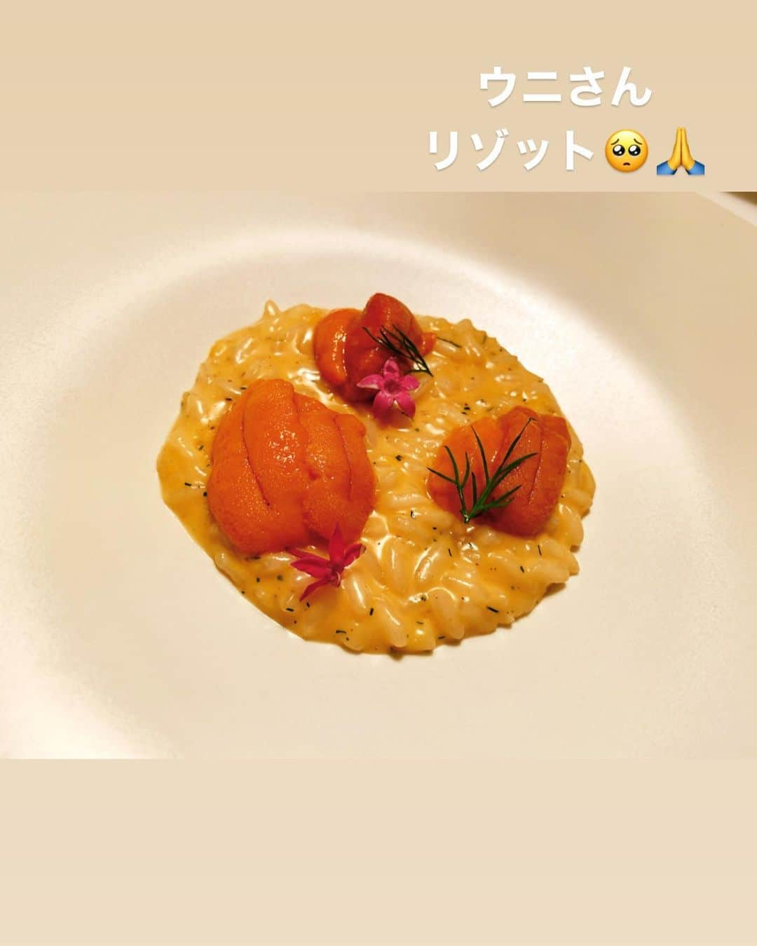 間宮梨花さんのインスタグラム写真 - (間宮梨花Instagram)「3月7日誕生日当日の話🎁♥️ HEINZ BECKの素敵なコースディナー💗 のせれるだけのせるね💕💕💗 見た目も味も完璧すぎました😭💗💗 毎年旦那くんチョイスのお店ゎ 本当に素敵、、、、、😭😭💗💗💗 全部おいしかったなぁ〜🤙🤙♥️ また行きたい🥺✋ #誕生日 #誕生日ディナー #夫婦ディナー #コース料理 #赤ワイン #heinzbeck  #幸せ #大好き」8月11日 11時37分 - rika_aizawa0329