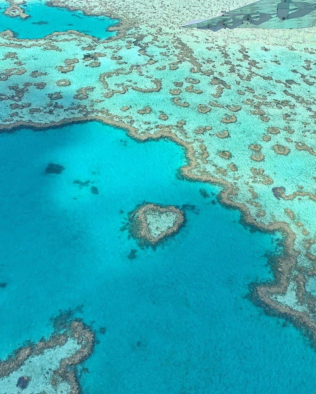 Australiaさんのインスタグラム写真 - (AustraliaInstagram)「When the view is this perfect, we'll just let it speak for itself 💙 It was @xennipo first time in @whitsundaysqld when she took this shot during a scenic flight which she described as “a mind-blowing adventure!” This stunning composition of coral in the @gbrmarinepark is aptly known as #HeartReef, and is a true icon of the #Whitsundays since being discovered in 1975. Book a flight over Heart Reef in a chopper or seaplane to experience this once in a lifetime vista and make sure your phone is fully charged because this is one Instagram opportunity you won't want to miss! #seeaustralia #thisisqueensland #gbrmarinepark #LoveTheReef #lovewhitsundays」8月11日 5時00分 - australia