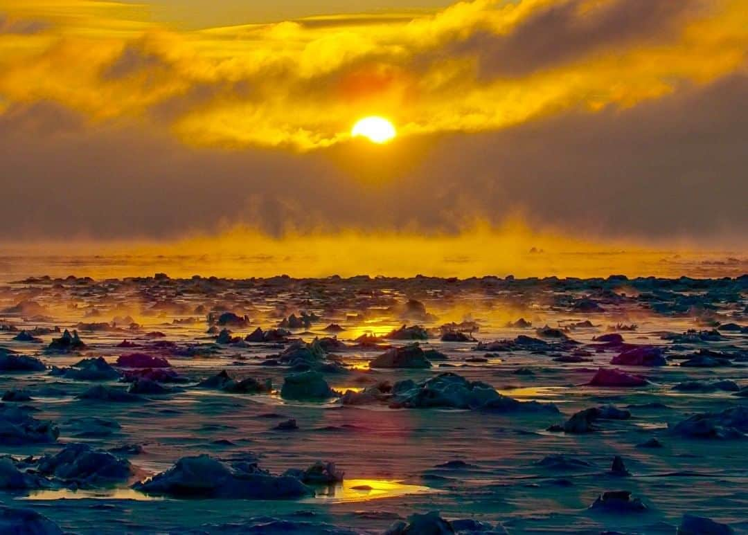 National Geographic Travelさんのインスタグラム写真 - (National Geographic TravelInstagram)「Photo by @bertiegregory  The sun rises over the west coast of the Hudson Bay in Manitoba, Canada. The minus 30°C air interacting with the outflow of the Seal River created this beautiful steam among the chunks of ice that were forming in late autumn. Within just a few days, the sea went from a wavy liquid to a rock-solid ice pathway. This freeze-up allowed polar bears to walk out over the sea in search of seals to get their first good meal in four months. #bears #polar #ice #arctic #seaice」8月11日 7時02分 - natgeotravel