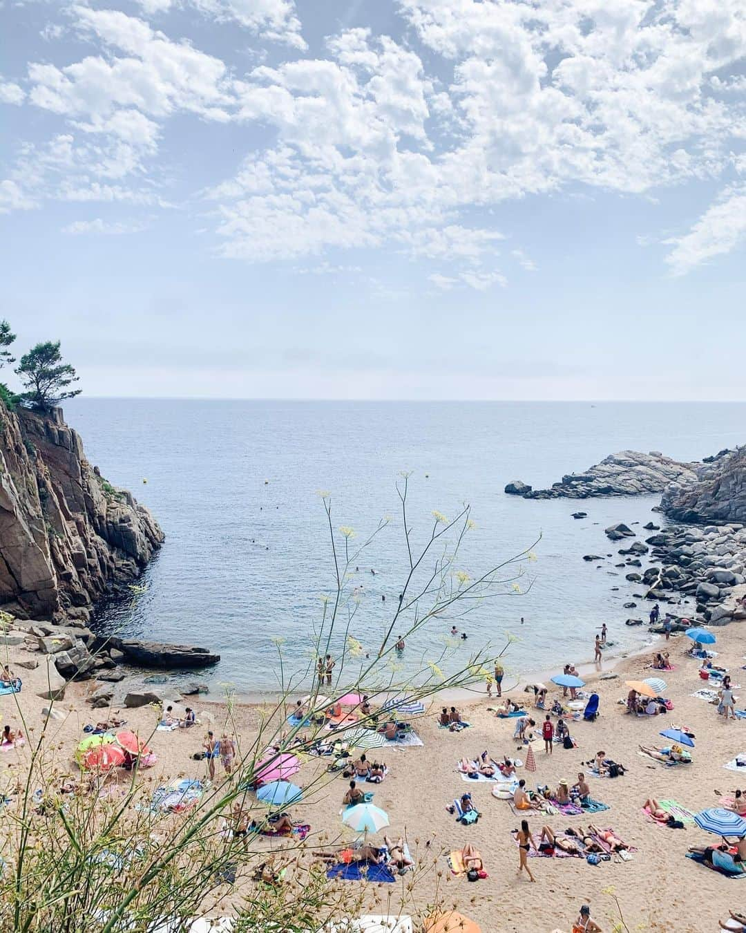 米田有希さんのインスタグラム写真 - (米田有希Instagram)「🐠🏖☀️👙💕」8月11日 7時00分 - akiyoneda