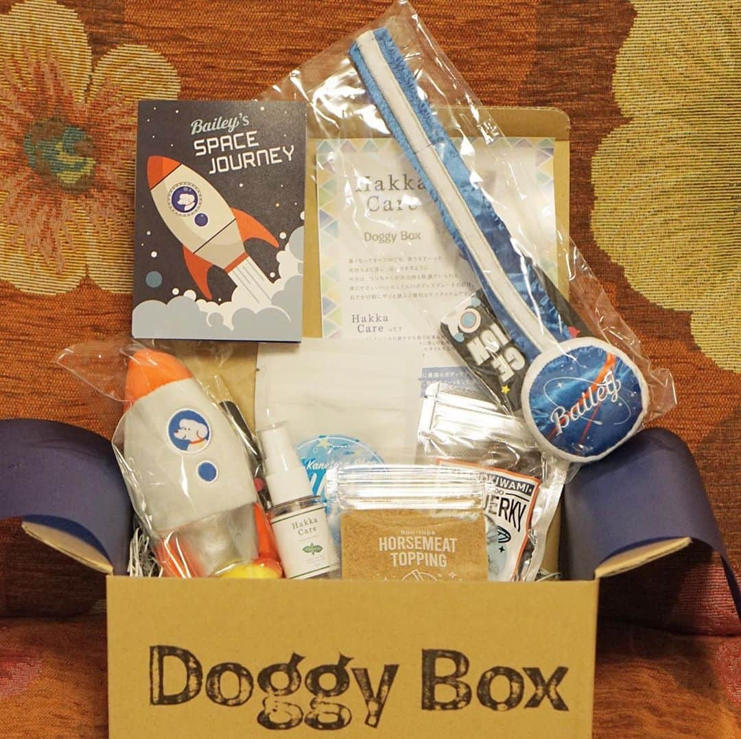 黒豆柴こむぎさんのインスタグラム写真 - (黒豆柴こむぎInstagram)「Doggy Box @doggybox_jp 8月号が届いたよ。今月は、宇宙旅行がテーマ。宇宙飛行士バッジをつけて、ボクも宇宙旅行に出発😆🚀おもちゃの他に美味しそうなおやつが3種類と、虫を寄せ付けず、清涼が暑さ対策にもなるハッカオイルのボディースプレーが入っていたよ☺️2020.08.11  #doggybox #ドギボ #pr #黒豆柴こむぎ #黒豆柴 #豆柴 #黒柴 #柴犬 #柴 #まめしば #しばいぬ #mameshiba #kuroshiba #shibainu #shiba #shibalove #shibalovers #shibastagram #shiba_snap #shibasofinstagram #ふわもこ部 #pecoいぬ部 #いぬら部 #proudshibas #thedailyshibainu #ここ柴部 #いぬのきもち #todayswanko #rakutenpet #9gagcute」8月11日 12時40分 - komugi_1207