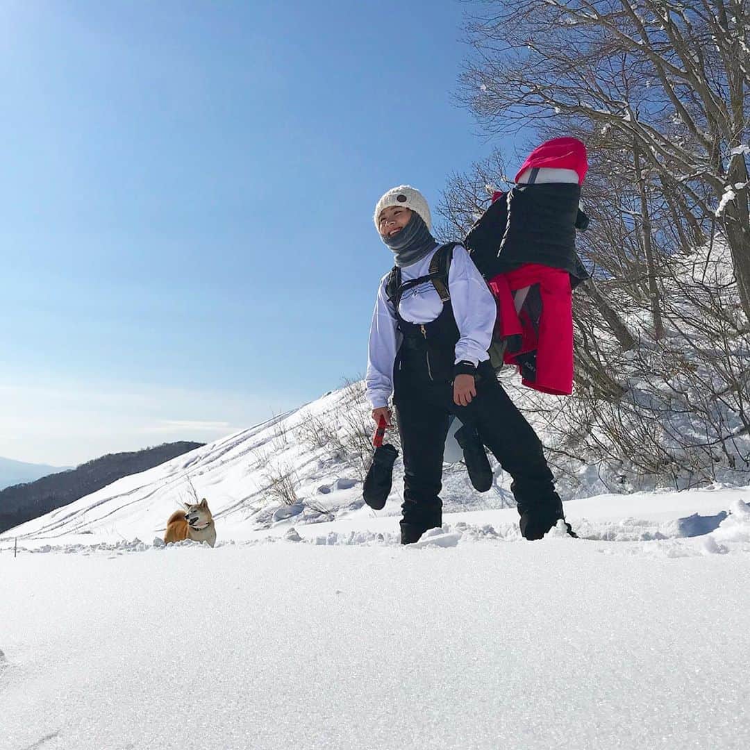 hoshinofumikaのインスタグラム：「Mountains day🗻🐕 猛暑の山の日でしたね⛰☀️ 自然に感謝して、周りの愛へ感謝して過ごそう✌️ みーんな見えない愛に溢れてるのだ🥰 . . . #snowbparding #mountain #山の日　#真夏　#shiba #shibabog #柴犬　#愛犬　#動物に優しい世界を目指して」