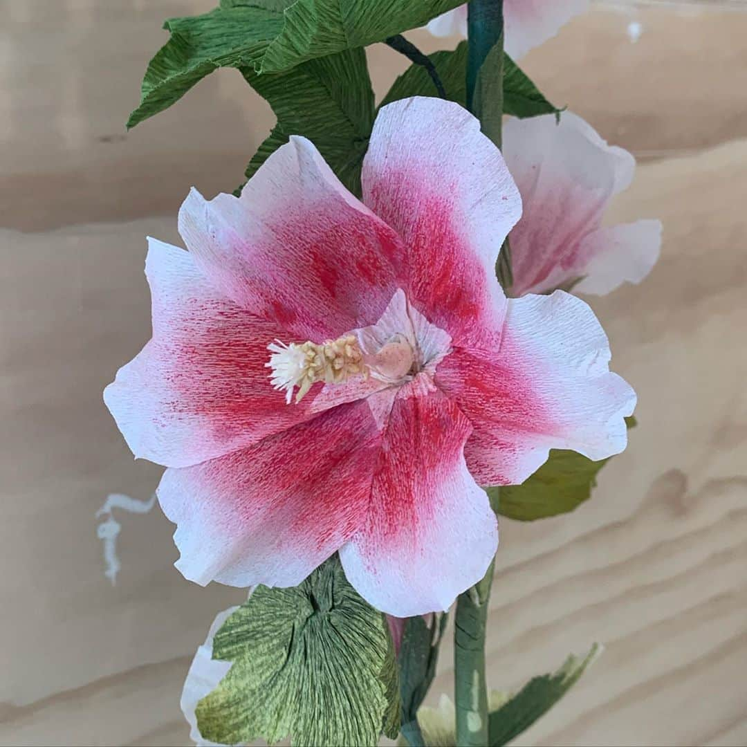 オランピアルタンさんのインスタグラム写真 - (オランピアルタンInstagram)「Beautiful paper flowers by @sourabh_gupta_design at @ddaystudio 🌺🌸🌷💐」8月11日 7時30分 - olympialetan