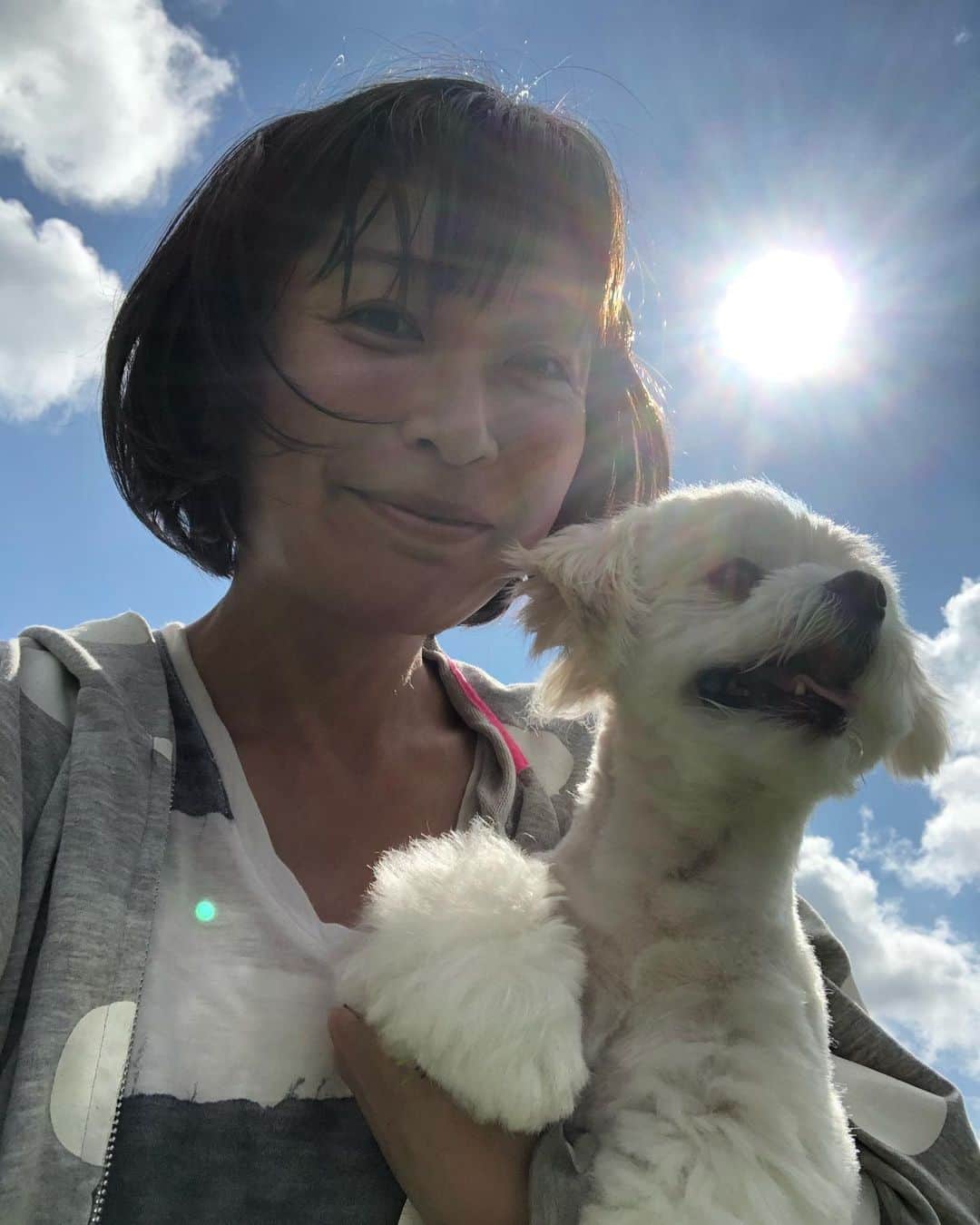 小野真弓さんのインスタグラム写真 - (小野真弓Instagram)「おはようございます^ ^ 毎日太陽ギラギラ🌞 ６時までには、お外の活動完了🌿 引きこもる気まんまんの夏休みモードです🏡 さぁ、家の片付けだー*\(^o^)/* 今日も良い一日を🌺 #チワワ#チワマル#いぬすたぐらむ #犬のいる暮らし#chihuahua #maltese #mixdog#dogstagram #doglover #家庭菜園#今朝の収穫#トマト#ナス#インゲン#万願寺とうがらし #ししとう#千葉暮らし#田舎暮らし 弟が遊びに来て、だらだら姿撮ってくれました😂 みんなでお昼寝してたところー😪😪😪 ぬいぐるみはハナちゃんの恋人🐶✨」8月11日 7時53分 - hanaharuaroi