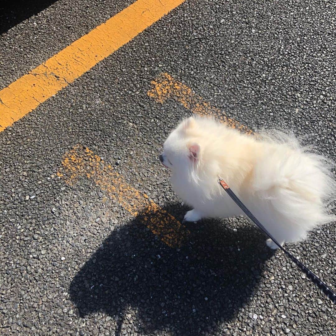 戸田昭吾のインスタグラム：「「ケンちゃん、今日何日だっけ？」を練習中です。」