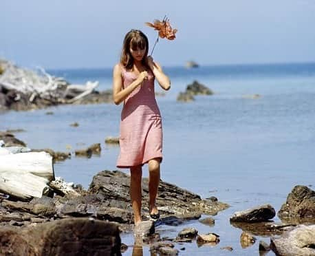 大森美希さんのインスタグラム写真 - (大森美希Instagram)「Today’s film “Pierrot le Fou” by Jean-Luc Godard, Starring Anna Karina, Jean-Paul Belmondo (1965)  今日の映画 『気狂いピエロ』ジャン=リュック・ゴダール監督、ジャン=ポール・ベルモンド、アンナ・カリーナ出演 (1965年)  #pierrotlefou #jeanlucgodard #godard #annakarina #jeanpaulbelmondo #nouvellevague #frenchnewwave #film #frenchmovie #cinema #60sstyle #60sfashion #mood  #今日の映画 #気狂いピエロ #ジャンリュックゴダール #ゴダール #ヌーベルバーグ #ヌーヴェルヴァーグ #フランス映画 #シネマ #ジャンポールベルモンド #アンナカリーナ #60年代ファッション #パリ #パリ生活 #今日のムード #スタイルアイコン #映画 #映画好き」8月11日 8時40分 - mikiomori_