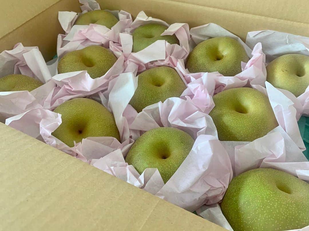黒田アーサーのインスタグラム：「美味しそうな梨🍐が届きましたー！😊🙌埼玉県の幸水です😍💕有り難うございます！ #梨🍐大好き  #幸水 #埼玉県堀越梨園 #間宮社長  #ありがとうございます💕」