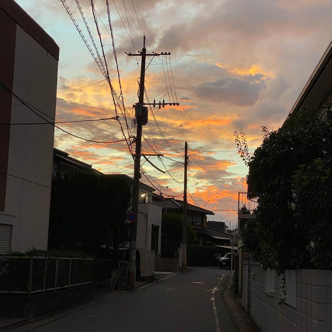 栗田善太郎さんのインスタグラム写真 - (栗田善太郎Instagram)「色々な色な朝でしたとさ。おはようございます😃」8月11日 9時13分 - kurizen01