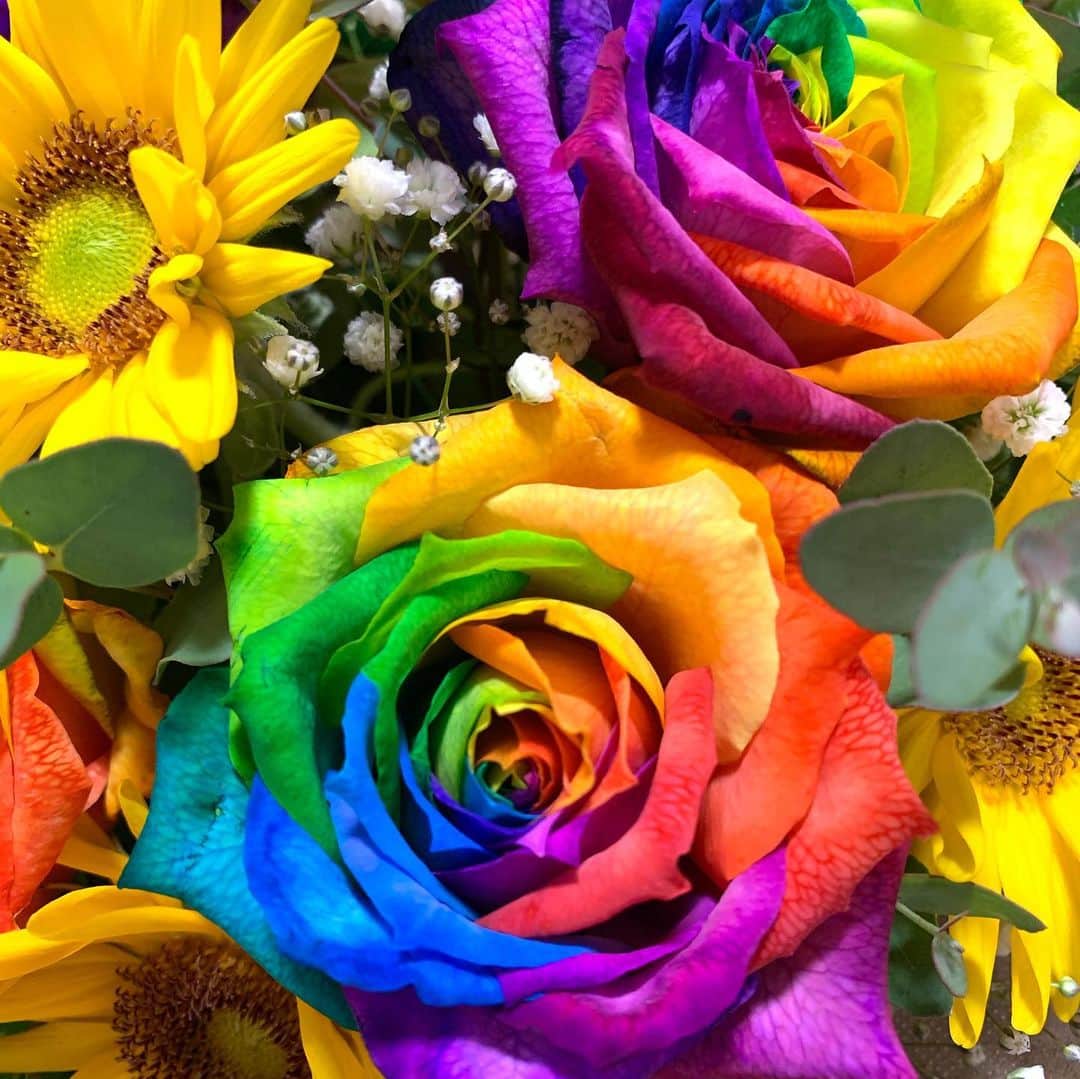 丹羽真由実さんのインスタグラム写真 - (丹羽真由実Instagram)「. . レインボーローズ🌹 珍しいお花をもらいました🌈 . 待ち受けにすると恋愛運がUPするとか？ 加工なしでこの美しさ✨✨✨ . . #レインボーローズ #花言葉 #奇跡 #無限の可能性  #flowers #rose #rainbowroses #🌈 #🌹」8月11日 9時23分 - mayumi_niwa