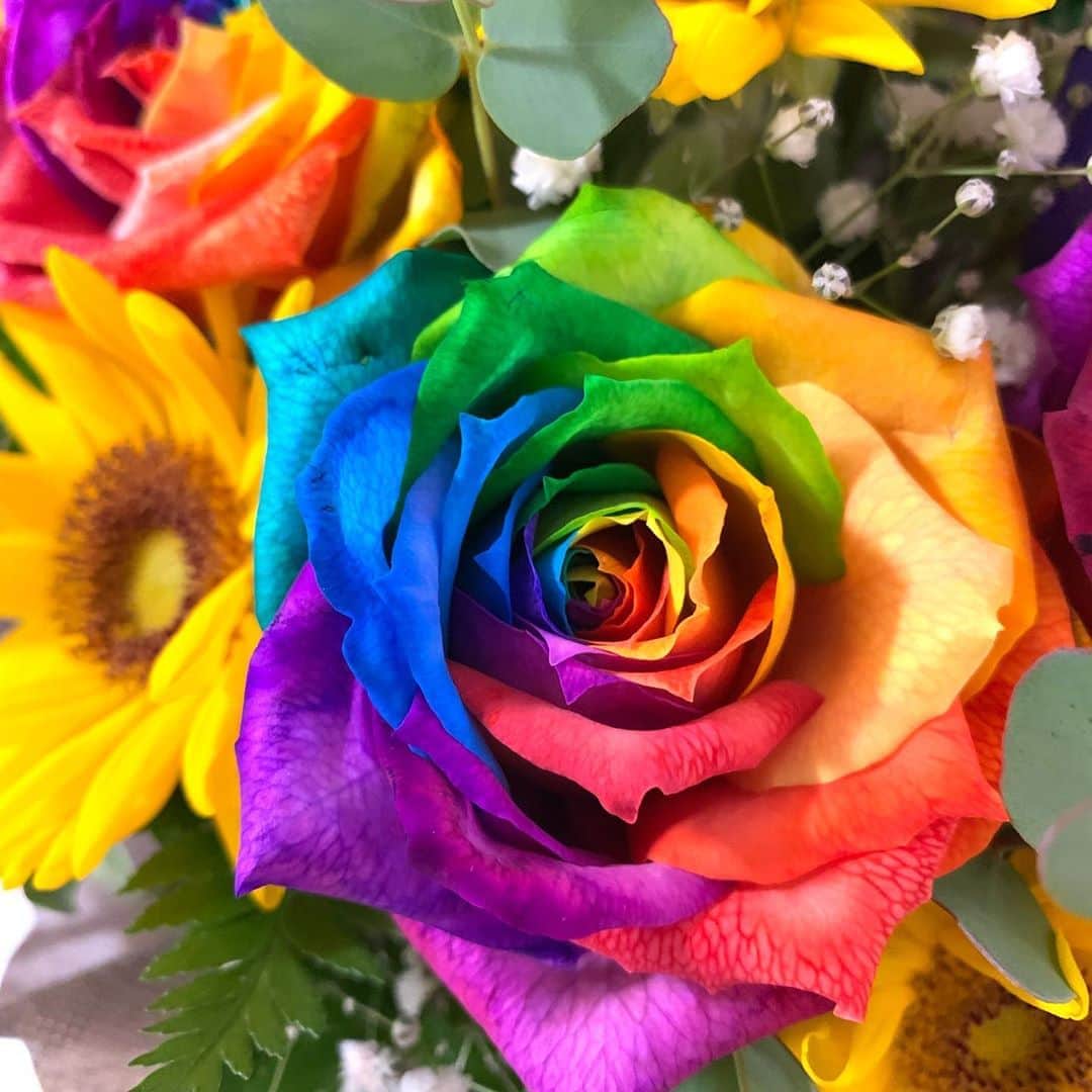 のインスタグラム：「. . レインボーローズ🌹 珍しいお花をもらいました🌈 . 待ち受けにすると恋愛運がUPするとか？ 加工なしでこの美しさ✨✨✨ . . #レインボーローズ #花言葉 #奇跡 #無限の可能性  #flowers #rose #rainbowroses #🌈 #🌹」
