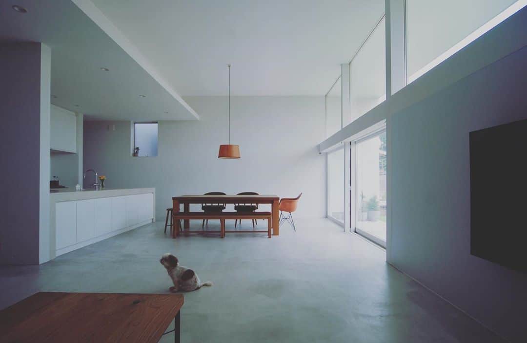 のインスタグラム：「through House/住宅/宮崎県日南市/2020年竣工  #cogite  #コギト #宮崎県日南市 #建築設計事務所 #宮崎県の設計事務所 #architect #architectoffice #house #home #casa #家づくり #architecture #建築家 #へーべシーベ」