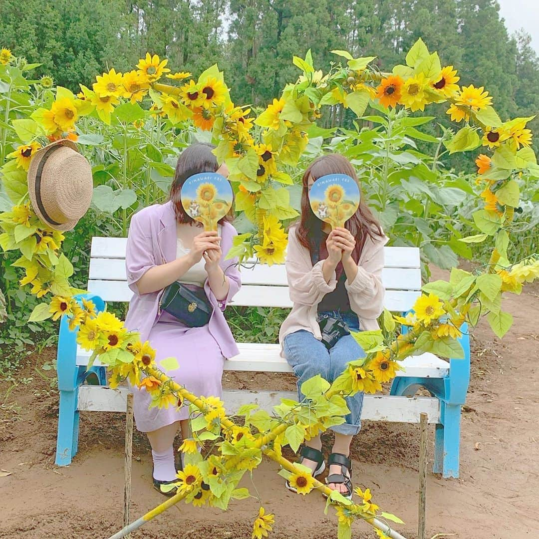 成田ゆめ牧場さんのインスタグラム写真 - (成田ゆめ牧場Instagram)「🌻ひまわり映えスポット🌻 ひまわり迷路では、こんな映え写真が撮影できますよ！  詳しくはHPでもご紹介中です☺️ ぜひご覧ください🤳  第3会場はおじぎが増えましたが、見頃を維持しています。  #詳しい開花状況はHPまたはお電話でお問い合わせください #詳しくはhpで  #最後の写真のひまわりはお客様私物です #ひまわり迷路  #ひまわりフェス #サンフィニティ #成田ゆめ牧場 #ゆめ牧場 #牧場 #千葉県 #成田 #おでかけ  #牛乳 #ヨーグルト #ソフトクリーム #花畑 #naritadreamfarm #farm #farmstagram #flower #sunflower」8月11日 9時33分 - yumebokujo