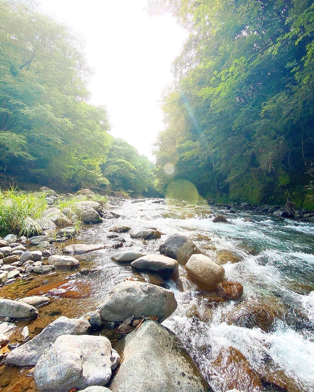 ケリーさんのインスタグラム写真 - (ケリーInstagram)「ここは東京近郊の川遊びができる日帰りで 足を運べるシークレットスポット🍃 ・ 滝と綺麗な川の水が流れていて、 水がめちゃ冷たいけど泳げました🤭😅 ・ 内側から浄化されました😆😆😆 ・ 今日は暑くなりそうなんで、皆さん熱中症に 気をつけてください🙏💛💙 ・ Short trip to this beautiful secret  spot near Tokyo 🤫🤫🤫 ・ Feeling so relaxed and energized by the nature 🙏🍃 ・ #secretspot#nature#summer2020 #sanairesort#bikini#夏#夏2020#お盆休み」8月11日 10時11分 - kellymisawa